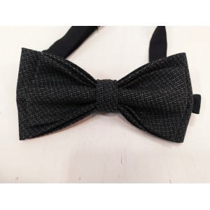 Šilkinė peteliškė